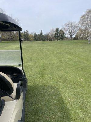 Conditions are excellent at Quit Qui Oc golf course. Me and my friend golfing.