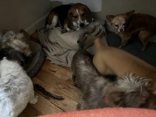 Love to be under desk.