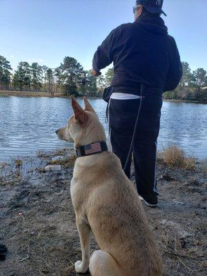 My pop and pup