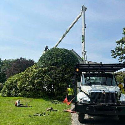 We have all the necessary equipment for pruning trees and hedges.