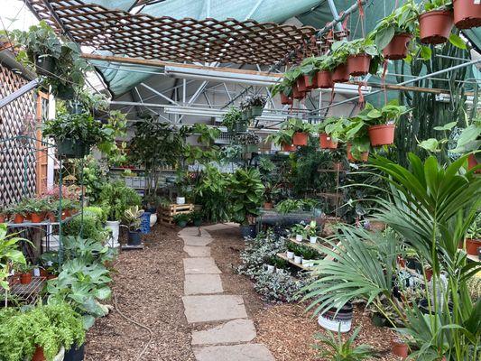 Great selection of indoor plants and outdoor as well!