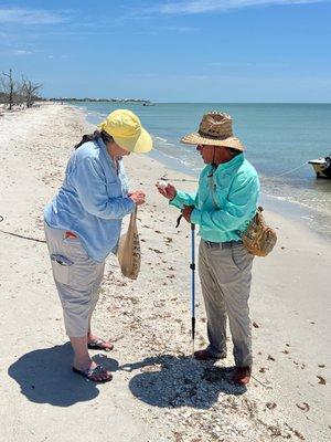 Guided beach walk to learn about shells and the natural environment.