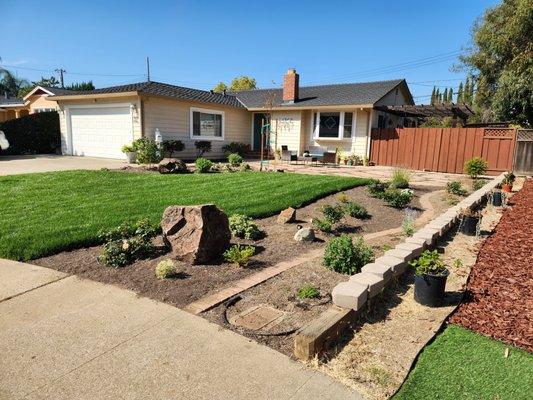 A new lawn was installed with sprinklers  and plants were planted in surrounding planters with drip irrigation.