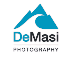 Branding for One DiMasi Photography