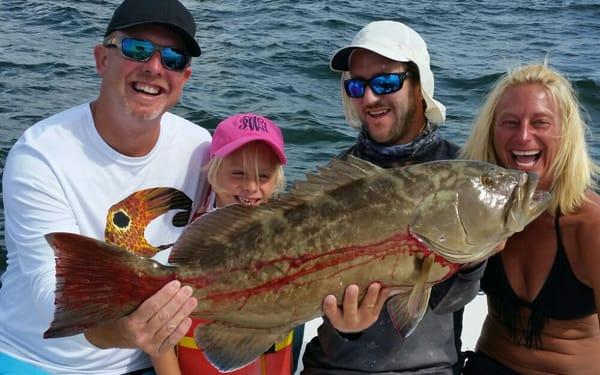 Big gag grouper