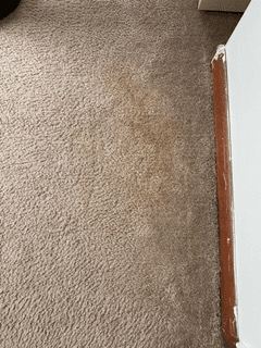 Dirty brown spot on carpet upon move in