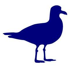 Blue Seagull Marketing