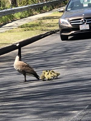 Traffic Jam. Rt 27. May 2022.