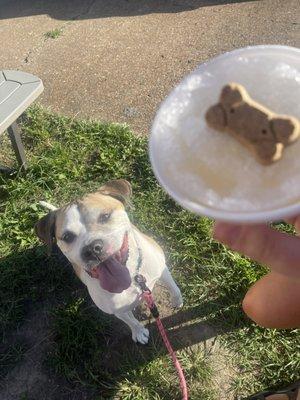 Chicken Broth Snowcone