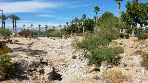 An oasis of nature in Summerlin.