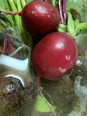 Beets and radishes