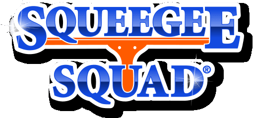 Squeegee Squad