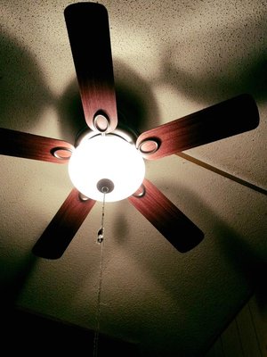 The ceiling fan installed on a vaulted ceiling.