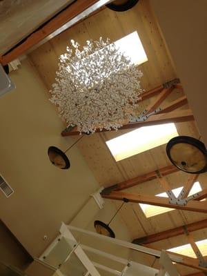 The new decorative ceiling sculptures!  These are like blossoms, there are 4 in this one infusion room.