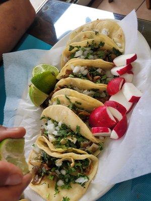 More TACOS!