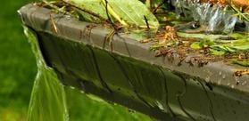 Do your gutters look like this? Spending the money to clean out your gutters can save you from costly repairs in the future.