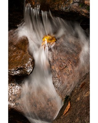 Autumn Mountain Stream