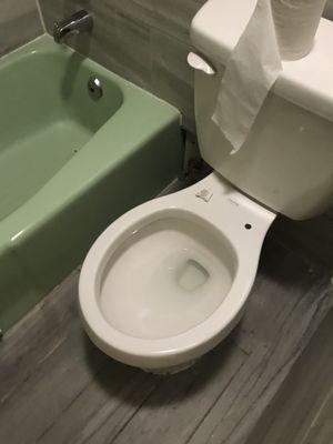 No toilet seat