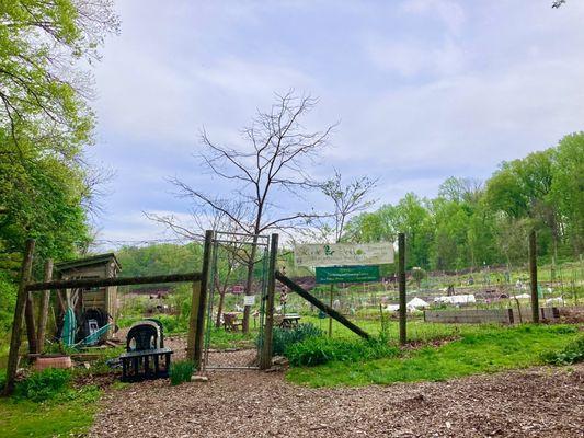 Skunk Hollow-- Community Garden