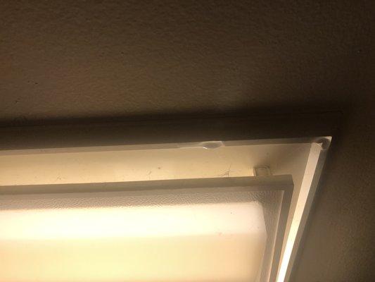 Water leakage from ceiling