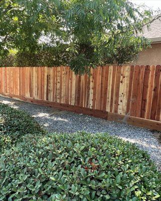 New Wood fence