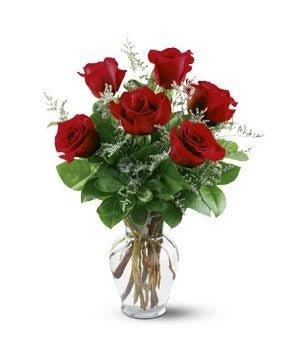 $20 - 6 Red Freedom Roses