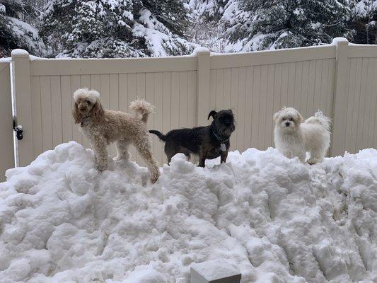 Snow Pile Fun!