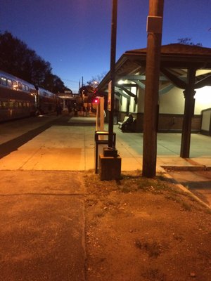 Halloween at Franklin Dean station