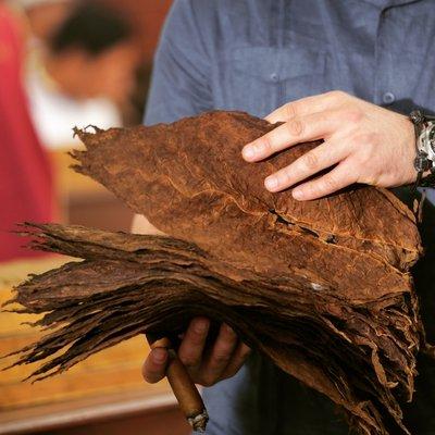 The BEST Nicaraguan Tobaccos aged for 5 years before rolling a cigar!