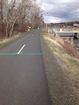 The actual trail along the creek