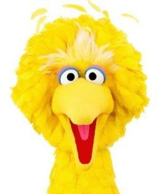 Everybody knows Big Bird!!!!