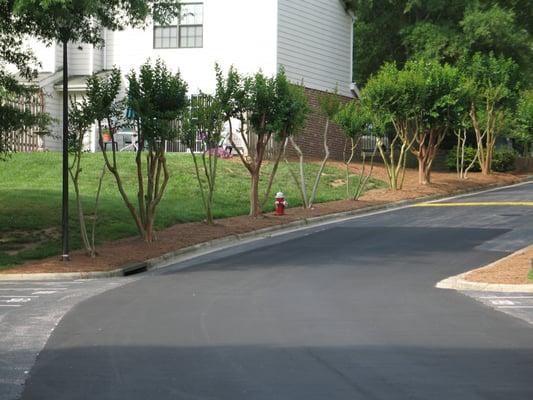 Asphalt Repair at Raleigh Apartment Complex