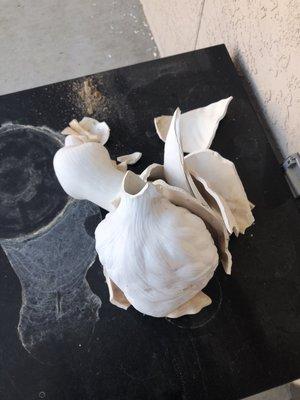 BROKEN PORCELAIN DUCKS that I picked up off the ground.