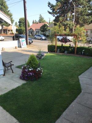 The lawn as seen from the side of shop.