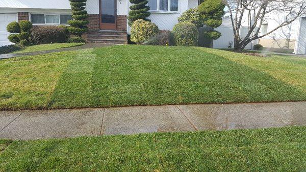 Here is a partial lawn repair we did recently to repair a sewer connection.