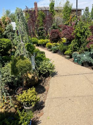 Broadway Garden & Nursery Center