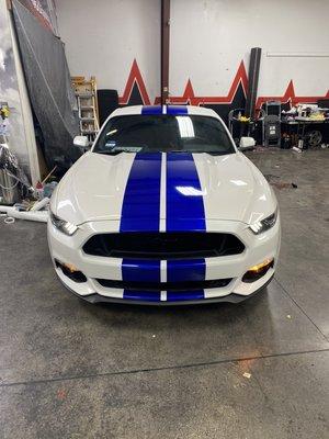 Single color racing stripes