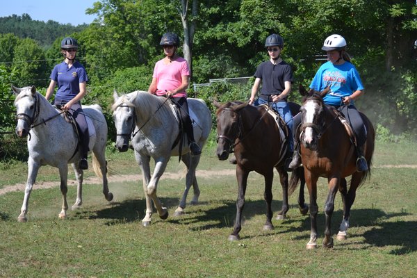 Year round fun at Springer's Stable