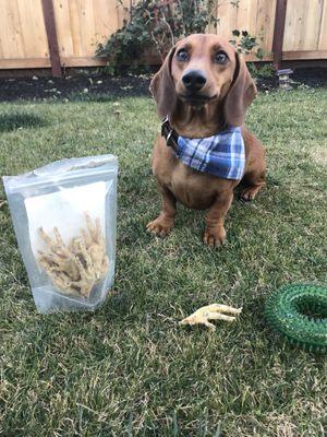 Campfire treats are the best!