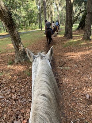 Scenery from horseback.