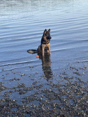 Tala cooling down even though it was a cool day!