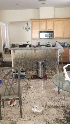 Mold damage on a vacation home