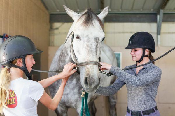 Belmont Training Stable