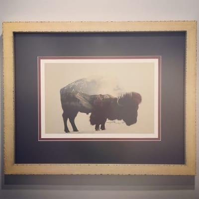 Double exposure bison print, framed in the shop.