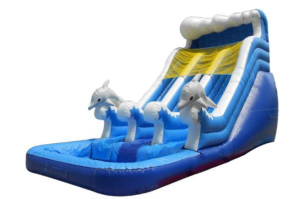 20 FT 2 Lane Dolphin Wet-Dry Slide