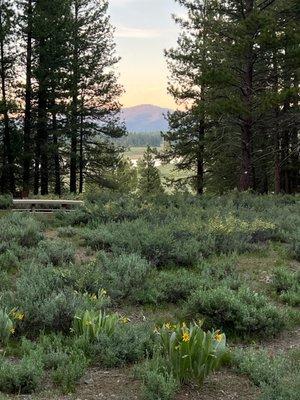 Mountain view from the campground bathroom area