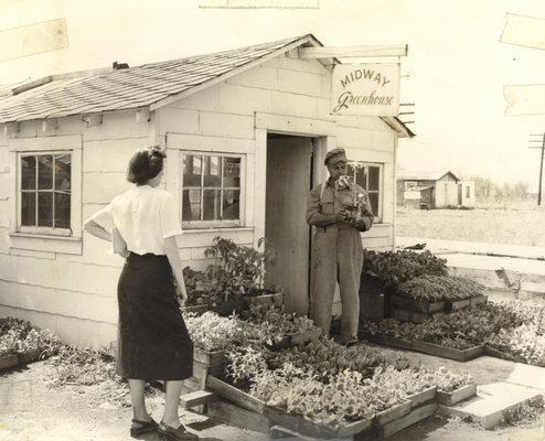 Gritt's Midway Greenhouse