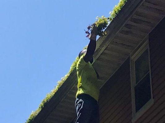 We Clean Clogged Gutters and keep your gutters in Great Shape with Our Professional Gutter Cleaning Service.