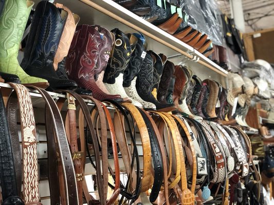 Exotic leather belts