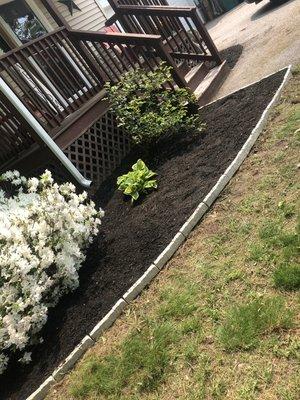 mulch lay